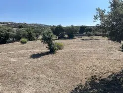 desbrozamos fincas y parcelas