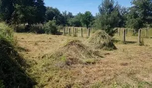 provincia de toledo, Limpieza y desbroce fincas parcelas