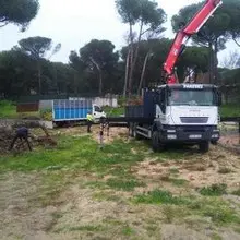 Tala y poda en altura Podas y talas en altura