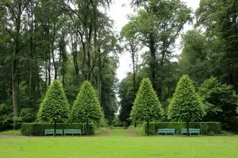 Jardineria-Tala-Podas-02.jpg